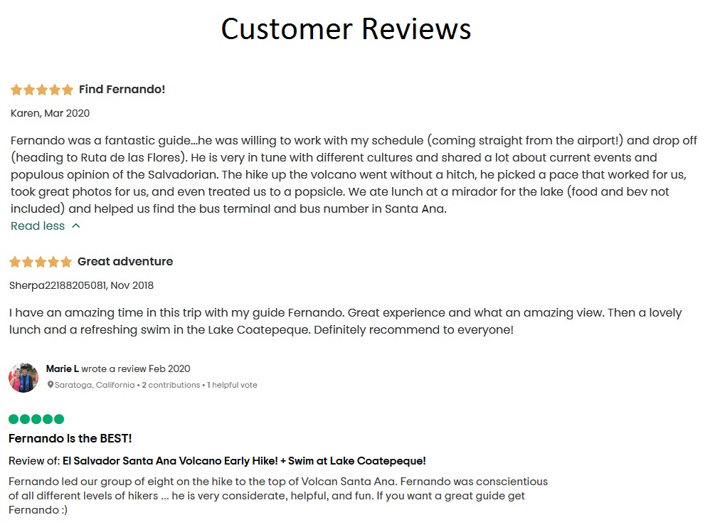 tripadvisor reviews