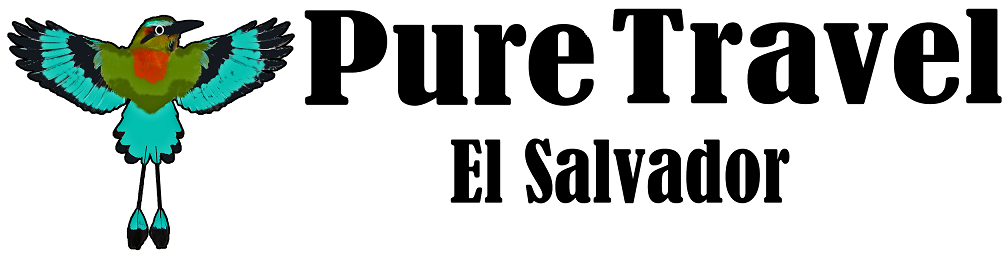logo puretravel